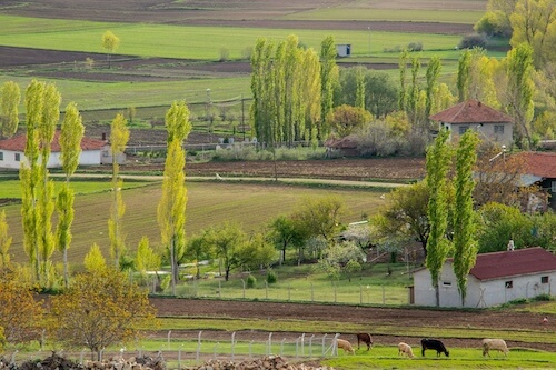 harmonisation énergétique maison propriété terrain annexes