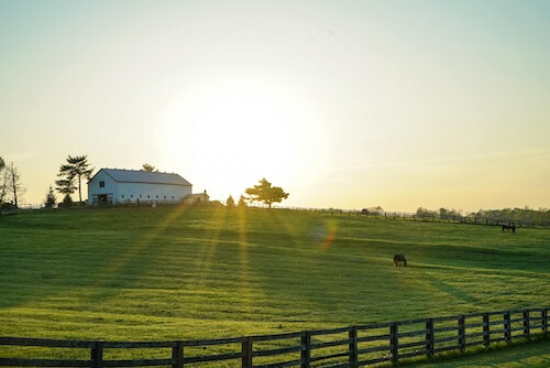 harmoniser maison propriété terrain annexes